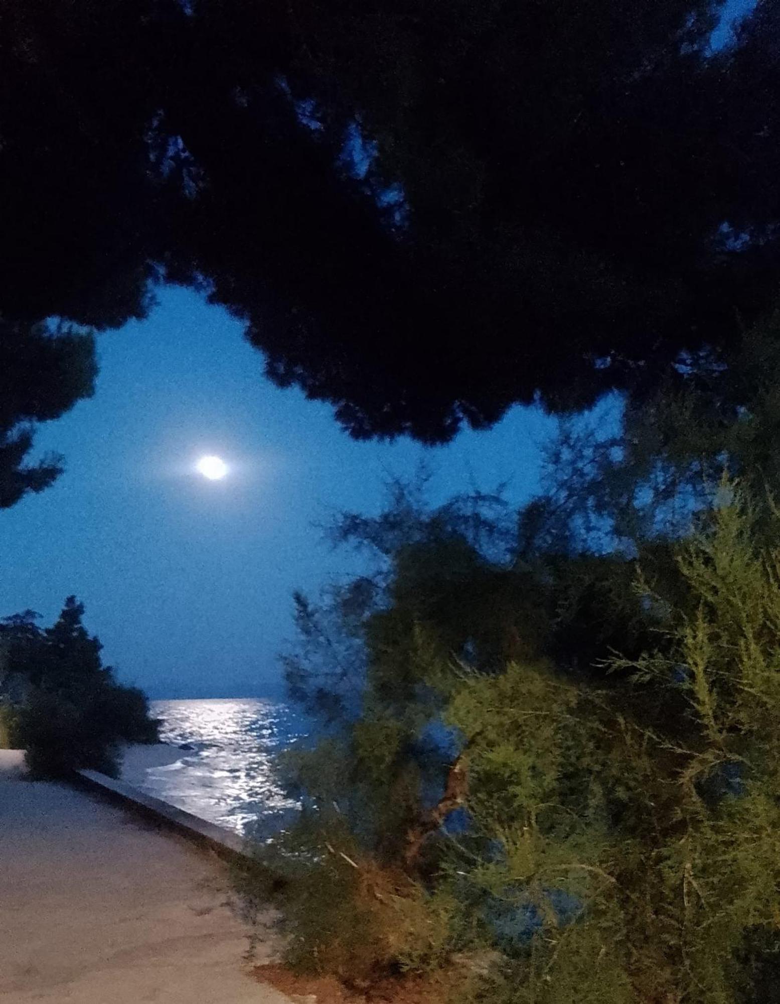 Villa Victoria Gradac  Extérieur photo