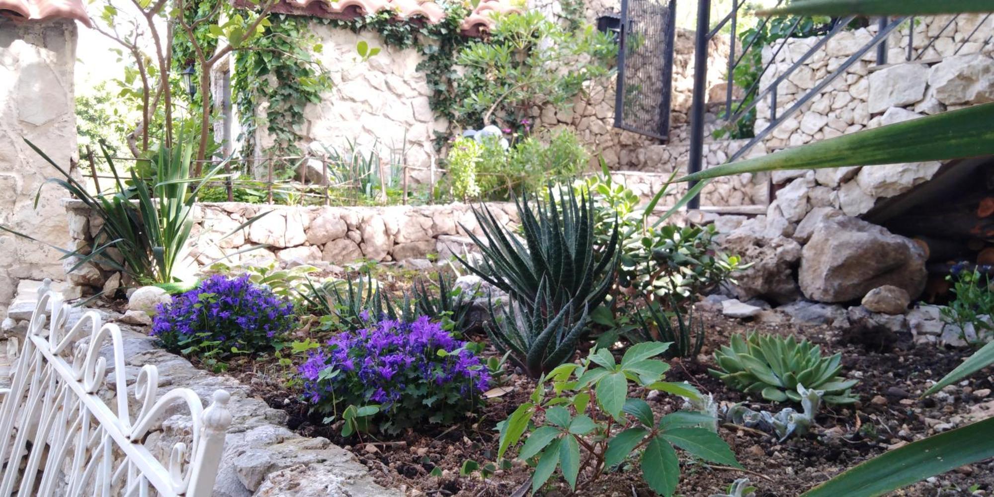 Villa Victoria Gradac  Extérieur photo