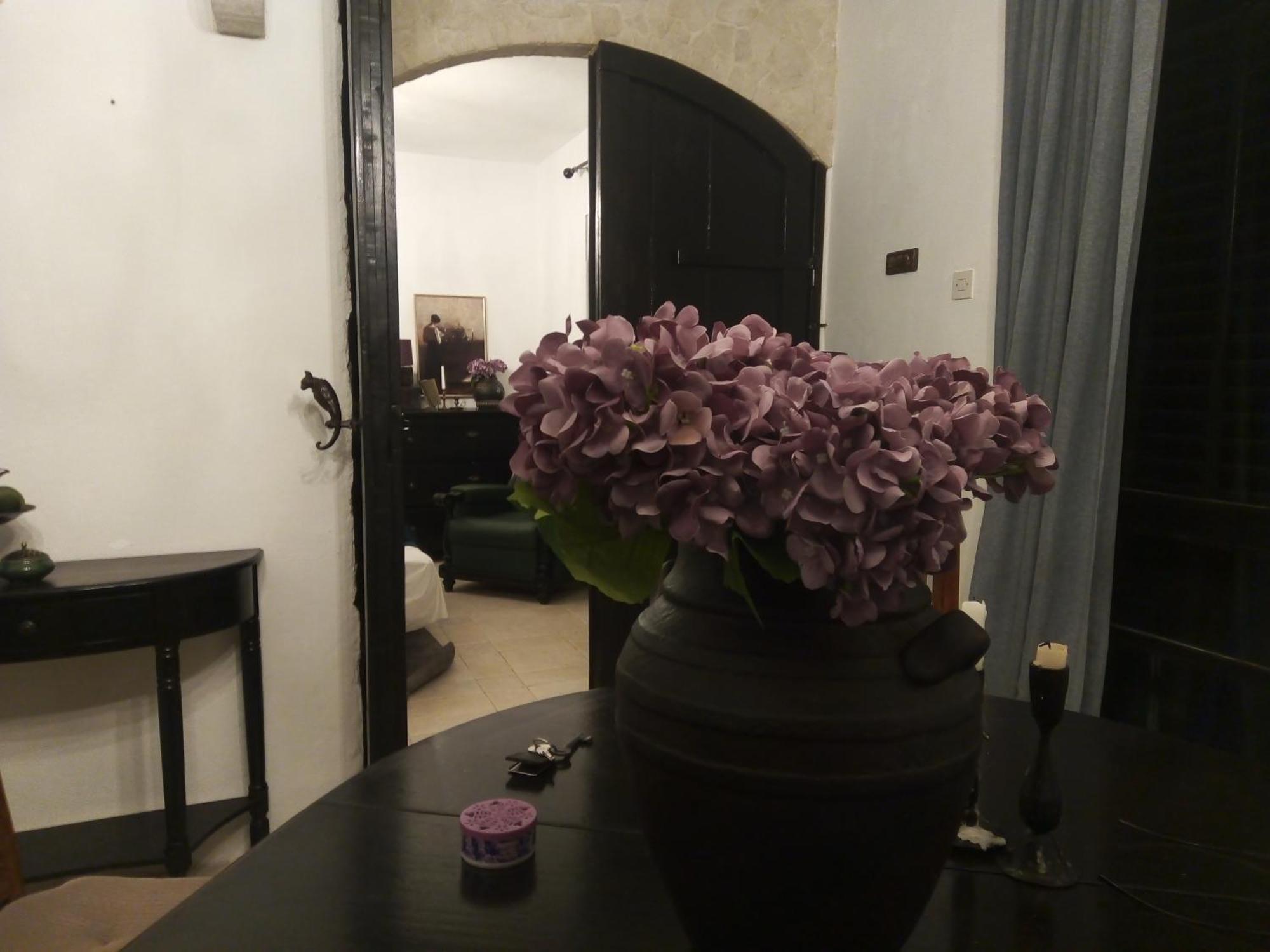 Villa Victoria Gradac  Extérieur photo
